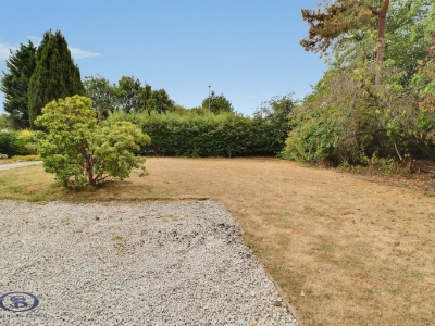 Picture 29